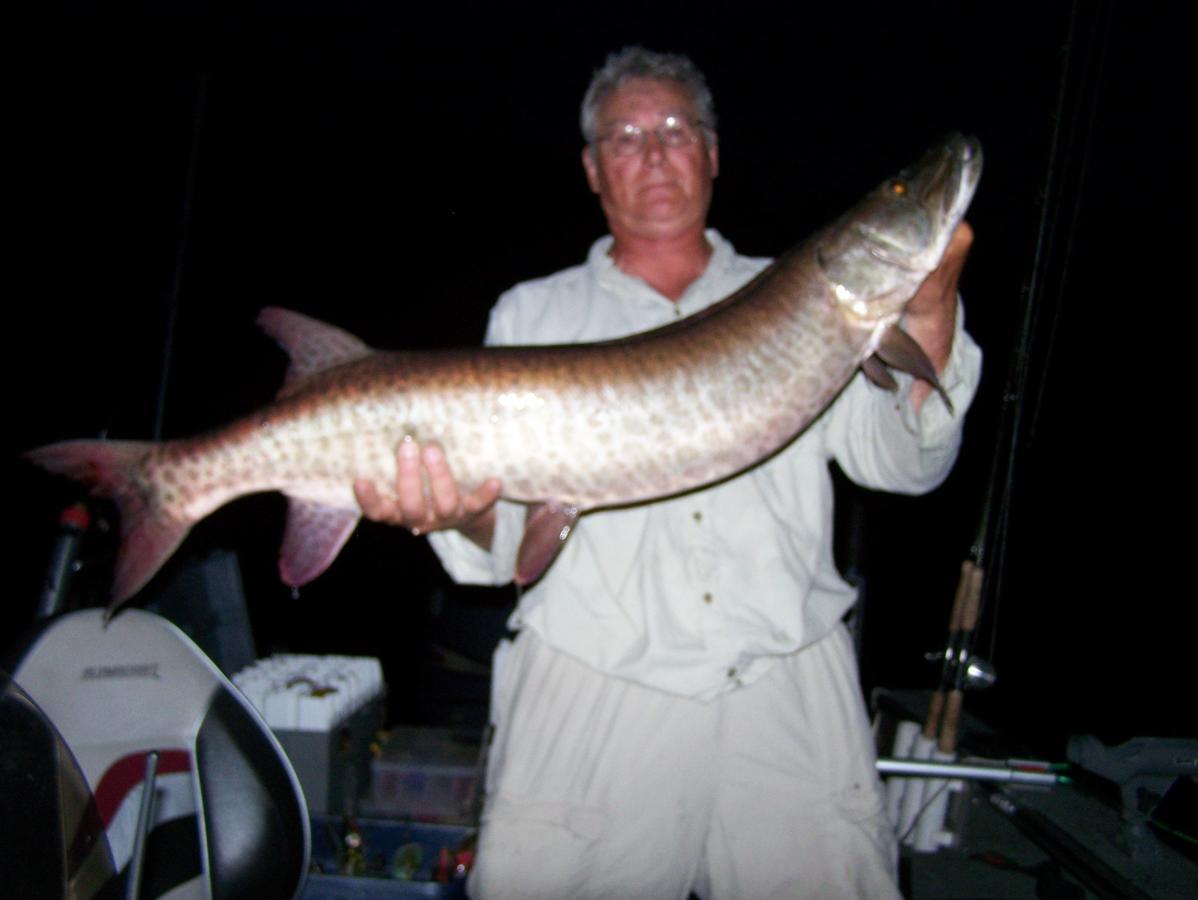 Muskie Bay Resort Nestor Falls Eksteriør billede